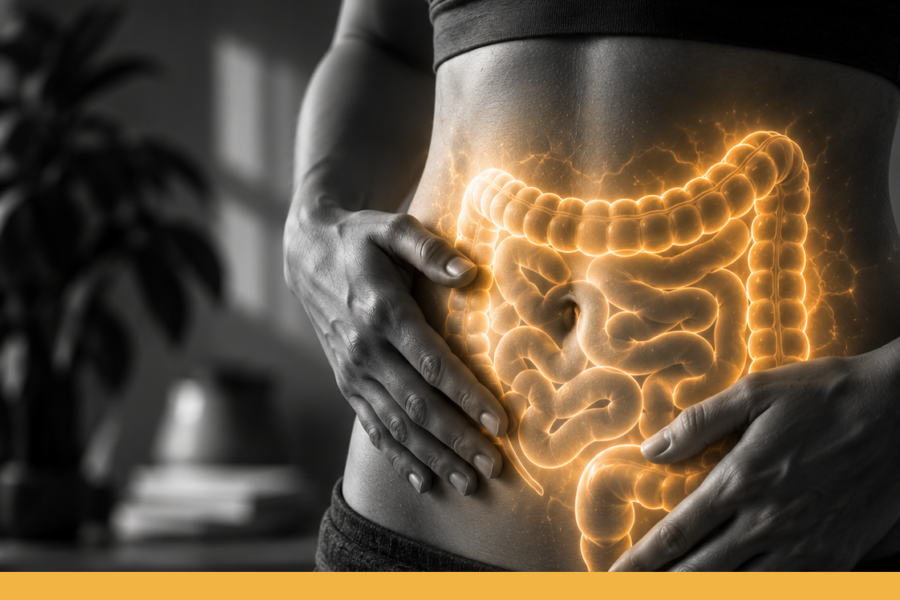 Dettaglio dell’addome con entrambe le mani appoggiate e un’evidenziazione dorata illustrativa localizzata sul tratto intestinale.